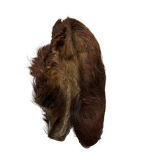 Load image into Gallery viewer, Brown fur  Cow Ear with Hair on a white background

