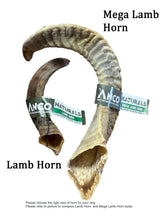 Load image into Gallery viewer, Anco Naturals Lamb Horn
