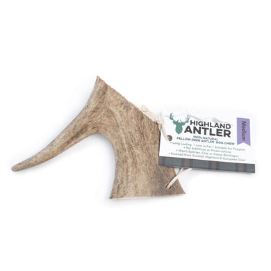 FallowAntlerMedium1