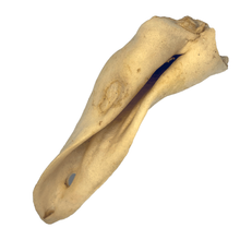 Load image into Gallery viewer, Goat Ear
