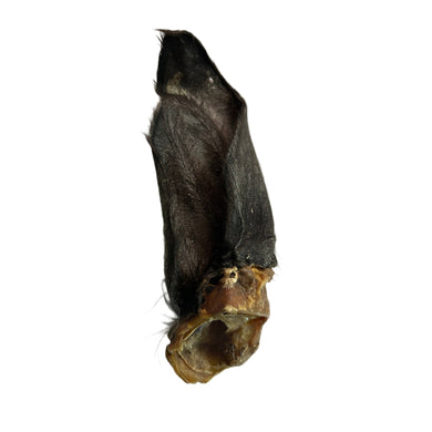 Dried  Hairy Buffalo Ear on a white background 