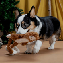 Load image into Gallery viewer, Dog playing with a plush toy in a home setting
