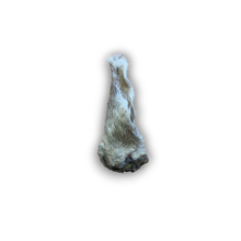 Load image into Gallery viewer, Hairy Lamb Ear on a white background
