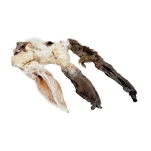 Load image into Gallery viewer, Two dried animal Hairy Rabbit Ears on a white surface
