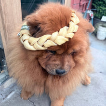 Load image into Gallery viewer, A fluffy brown dog lying on a concrete surface outdoors, wearing a thick cream-colored braided collar or harness.

