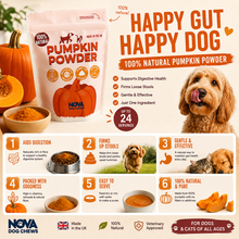Load image into Gallery viewer, Nova Pumpkin Powder 200g
