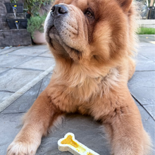 Load image into Gallery viewer, A fluffy tan Chow Chow dog lying on a stone patio, looking upward toward the camera with a bone-shaped treat in the foreground.
