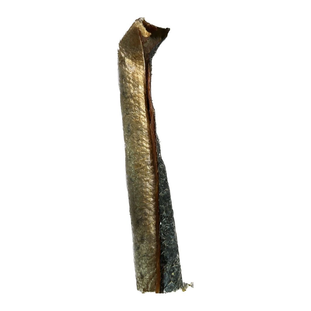 Anco Oceans Salmon Skin Roll