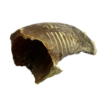 Load image into Gallery viewer, Empty Hooves - Single
