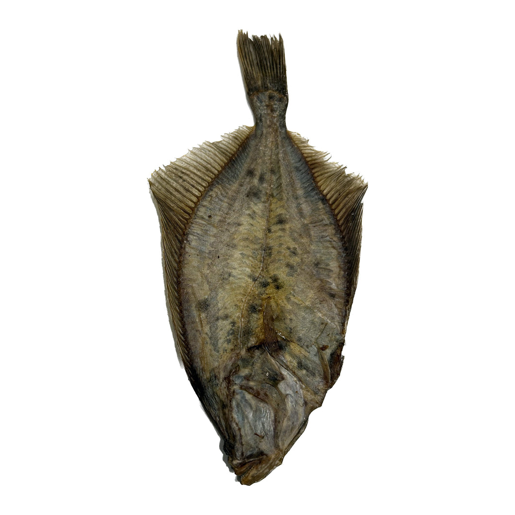 Dried Flounder Fish