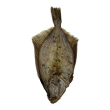 Load image into Gallery viewer, Dried Flounder Fish
