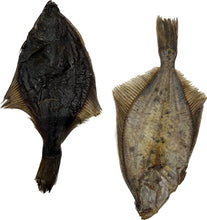 Load image into Gallery viewer, Dried Flounder Fish

