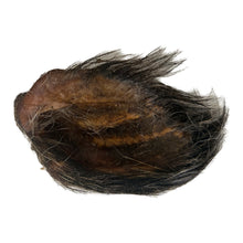 Load image into Gallery viewer, Hairy Wild Boar Ear
