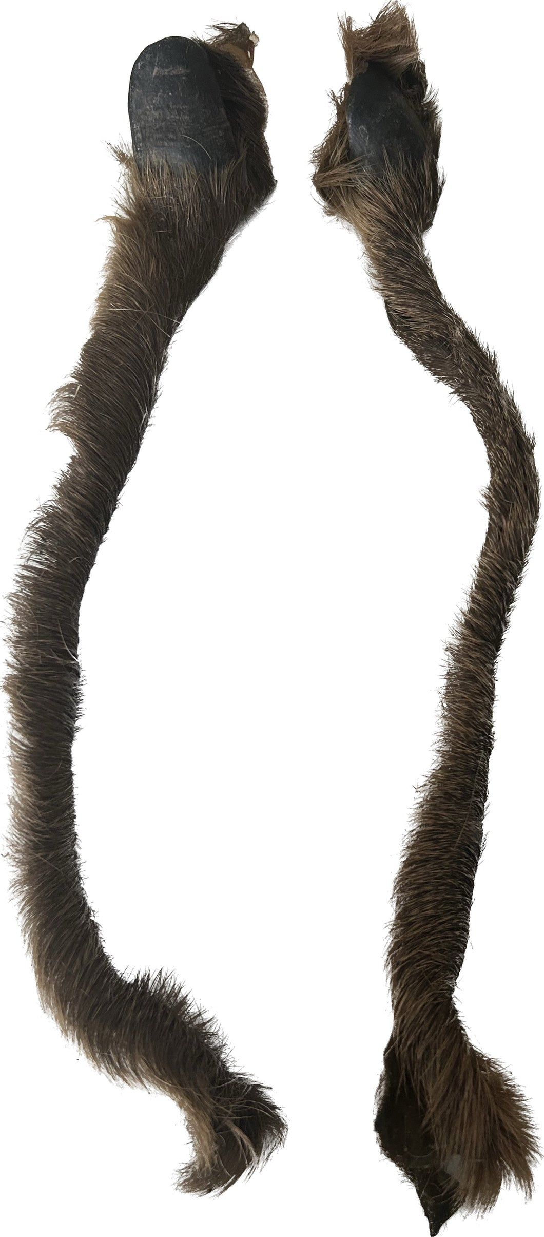 Hairy Deer Skin with Claws 100g