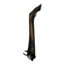 Load image into Gallery viewer, Anco Naturals Roe Deer Leg

