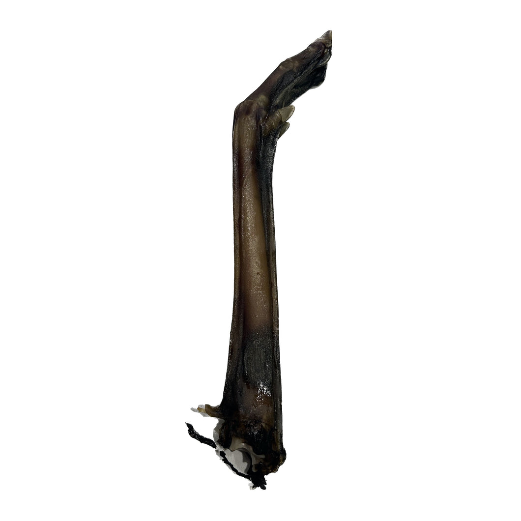 Anco Naturals Roe Deer Leg