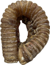 Load image into Gallery viewer, Beef Trachea Ring
