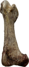 Load image into Gallery viewer, Ostrich Jumbo Bone
