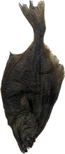 Load image into Gallery viewer, Dried Flounder Fish
