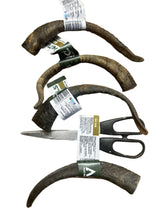 Load image into Gallery viewer, Anco Naturals Goat Horn
