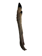 Load image into Gallery viewer, Anco Naturals Hairy Roe Deer Leg
