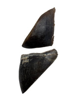 Load image into Gallery viewer, Anco Naturals Buffalo Hooves
