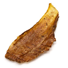 Load image into Gallery viewer, A single JR  Large Ostrich Collagen Flattie with a textured, fibrous surface, showing a gradient from golden-yellow 
