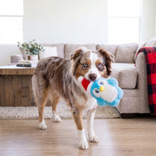 Load image into Gallery viewer, A brown and white Australian Shepherd dog stands on a wooden floor in a bright living room, holding a plush blue cloud toy with a red and white Santa hat in its mouth.
