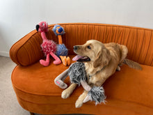 Load image into Gallery viewer, A golden retriever dog lies on an orange velvet sofa, holding a gray plush toy in its mouth. Two plush toys sit on the sofa behind it against a plain white wall.
