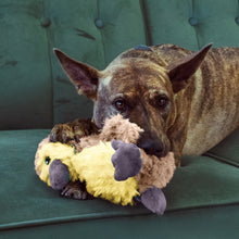 Load image into Gallery viewer, Dog playing with a plush toy on a green couch
