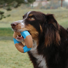 Load image into Gallery viewer, Dog holding a blue and brown dog toy in its mouth outdoors.
