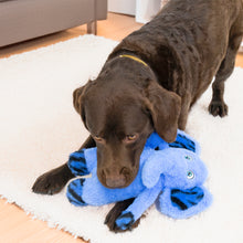 Load image into Gallery viewer, Dog playing with a purple toy on a white rug
