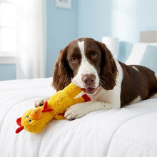 Load image into Gallery viewer, Dog lying on a bed with a yellow duck toy
