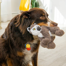 Load image into Gallery viewer, Dog holding a plush toy in its mouth with a blurred indoor background
