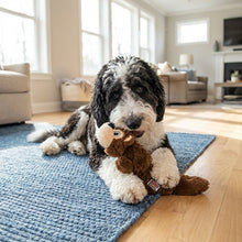 Load image into Gallery viewer, Dog lying on a blue rug holding a plush toy in a living room.
