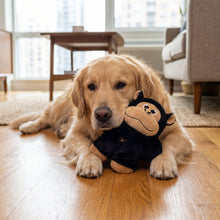 Load image into Gallery viewer, Dog lying on a wooden floor with a monkey plush toy in a living room.
