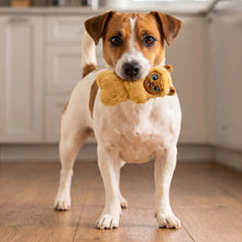 Load image into Gallery viewer, Dog holding a plush toy in its mouth on a wooden floor.
