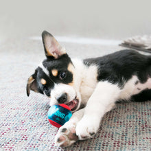 Load image into Gallery viewer, KONG Squeezz Action Red Medium
