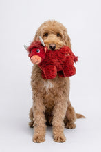 Load image into Gallery viewer, A fluffy golden-brown dog sitting against a white studio background, holding a red plush Scottish highland cow toy in its mouth.
