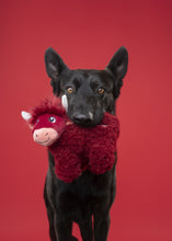 Load image into Gallery viewer, A black dog stands against a solid red studio background, holding a small red plush toy with white horns in its mouth.
