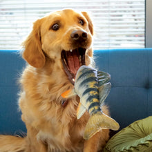 Load image into Gallery viewer, Dog holding a fish-shaped toy in its mouth on a blue couch.
