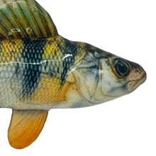 Load image into Gallery viewer, Close-up of a fish with a colorful pattern on a white background
