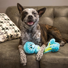 Load image into Gallery viewer, Dog sitting on a couch with two toys, one blue and one multicolored, in a home setting.
