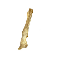 Load image into Gallery viewer, Lamb Trotter
