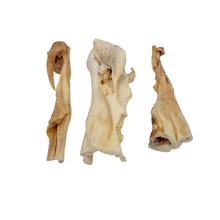 Load image into Gallery viewer, Three dried animal bones on a white background
