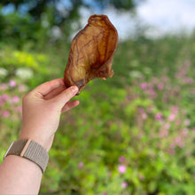Load image into Gallery viewer, Hand holding a dried leaf against a blurred natural background with greenery and flowers.
