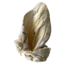 Load image into Gallery viewer, White, textured Large White Cow Ear on a white background
