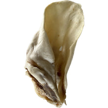 Load image into Gallery viewer, Large White Cow Ear
