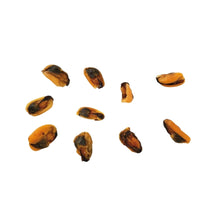 Load image into Gallery viewer, Several small dried fish or seafood pieces scattered on a plain white background.

