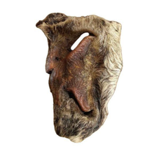 Load image into Gallery viewer, Nova Hairy Beef Snouts with brown and gray fur on a white background
